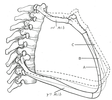 File:Gray316.png