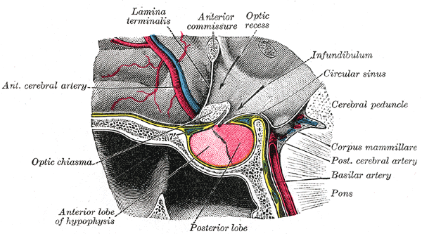 File:Gray721.png