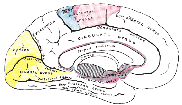 File:Gray757.png