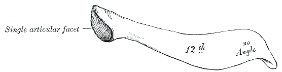 File:Gray128.png