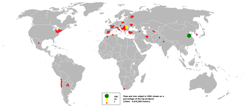 File:2005plums and sloes.PNG