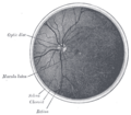 Thumbnail for version as of 17:28, 18 May 2026