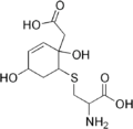 Thumbnail for version as of 14:41, 24 May 2026