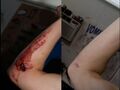 Thumbnail for version as of 12:52, 29 May 2026