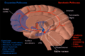 Thumbnail for version as of 02:27, 19 May 2026