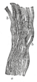 Thumbnail for version as of 17:28, 18 May 2026