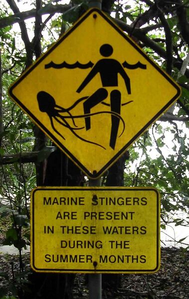 File:Marinesting1.jpg