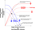 Thumbnail for version as of 00:59, 19 May 2026