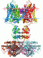 Molecular neuroscience