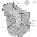 Thumbnail for version as of 17:28, 18 May 2026