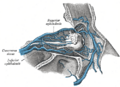 Thumbnail for version as of 17:28, 18 May 2026