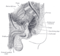 Thumbnail for version as of 17:28, 18 May 2026