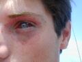 Thumbnail for version as of 12:50, 29 May 2026