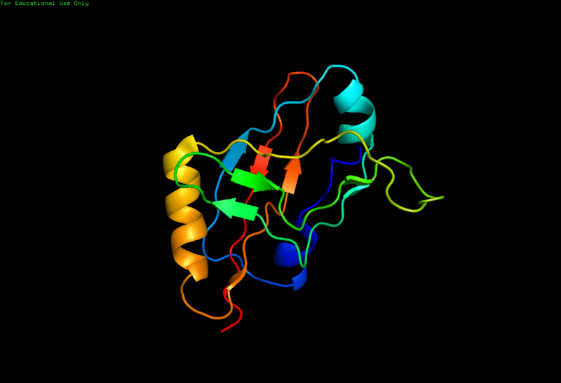 File:SmpBcartoonstructure.png