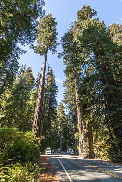 File:US 199 Redwood Highway.jpg