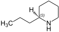 Thumbnail for version as of 02:05, 7 June 2026