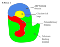 Thumbnail for version as of 11:35, 20 May 2026