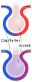 Thumbnail for version as of 13:37, 8 June 2026