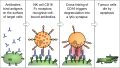 Thumbnail for version as of 19:17, 4 June 2026