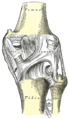 Thumbnail for version as of 17:28, 18 May 2026