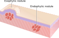 Thumbnail for version as of 11:33, 19 May 2026