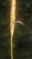 Thumbnail for version as of 19:18, 4 June 2026
