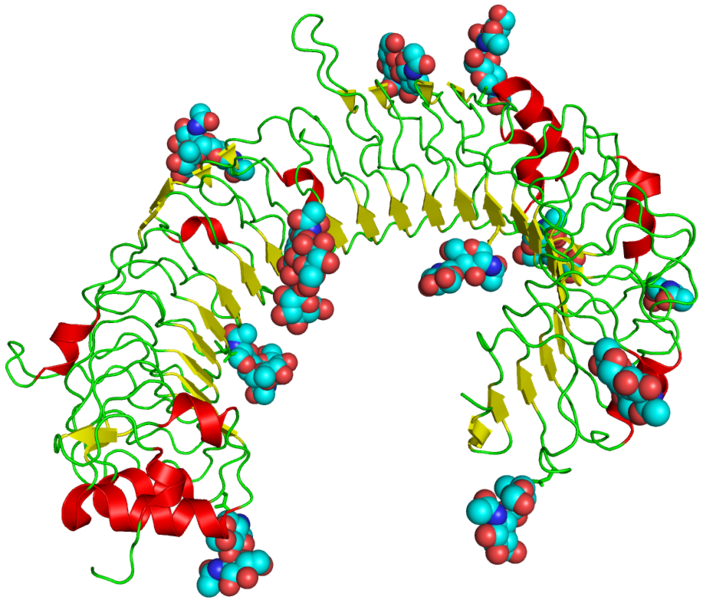 File:TLR3 structure.png