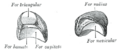 Thumbnail for version as of 17:28, 18 May 2026