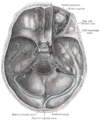 Thumbnail for version as of 17:28, 18 May 2026