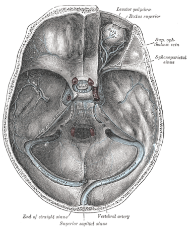 File:Gray570.png