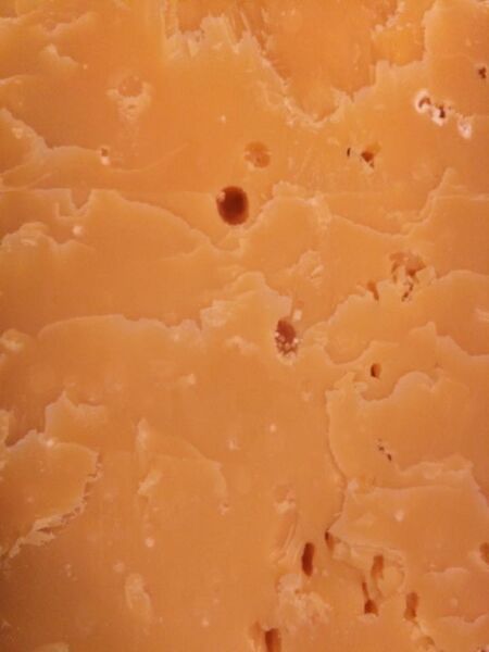 File:Beemster detail.jpg