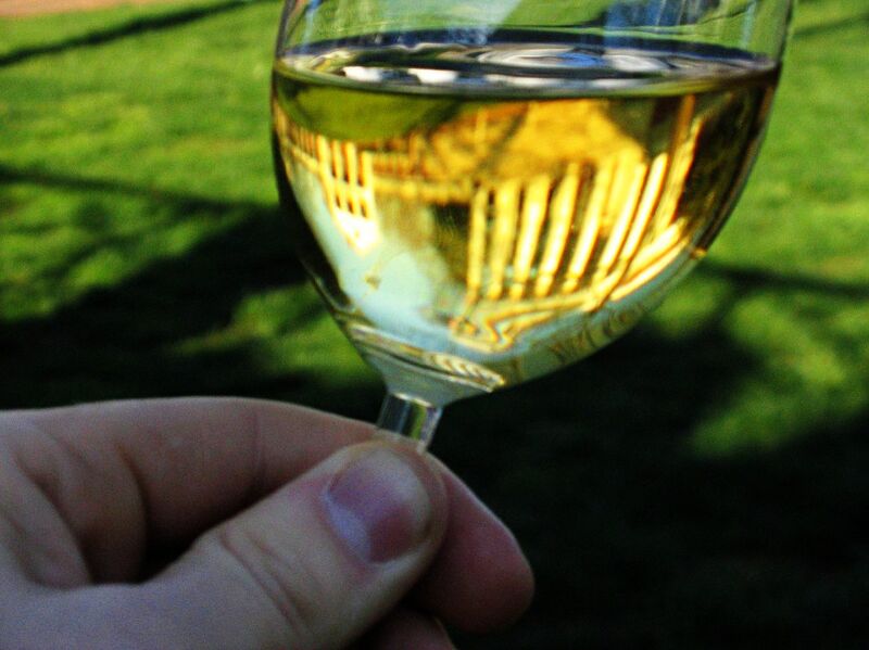File:Chardonnay-UVa.jpg