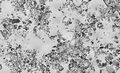 Thumbnail for version as of 13:39, 8 June 2026
