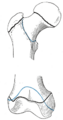 Thumbnail for version as of 17:28, 18 May 2026
