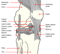 Thumbnail for version as of 20:26, 18 May 2026