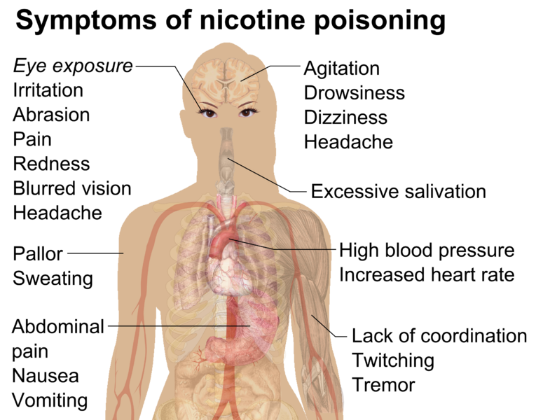File:Symptoms of nicotine poisoning.png