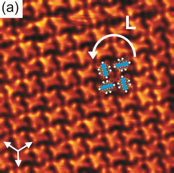 File:Br4Py self-assembly on Au.jpg