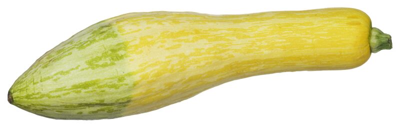 File:CSA-Yellow-Squash.jpg