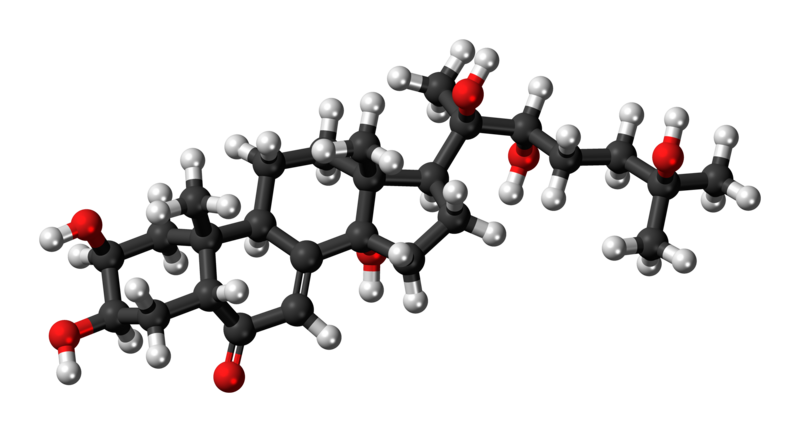 File:20-Hydroxyecdysone 3D ball.png