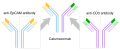 Thumbnail for version as of 14:55, 19 May 2026