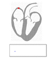 ECG principle