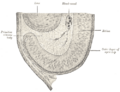 Thumbnail for version as of 17:28, 18 May 2026