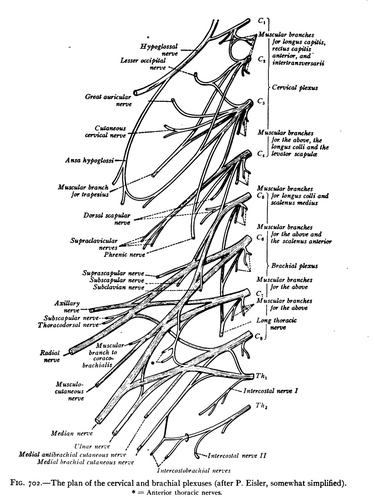 File:Sobo 1909 702.png