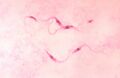 Thumbnail for version as of 03:41, 2 June 2026