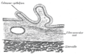 Thumbnail for version as of 17:27, 18 May 2026