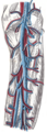 Thumbnail for version as of 17:28, 18 May 2026