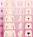 Labia