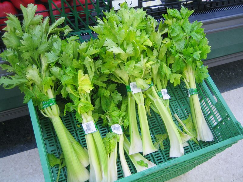 File:Celery 1.jpg