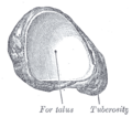 Thumbnail for version as of 17:28, 18 May 2026