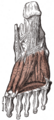 Thumbnail for version as of 17:28, 18 May 2026
